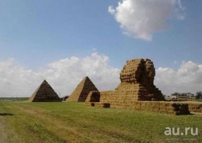 Лот: 9509437. Фото: 1. Сено в тюках 20-25кг. Корма