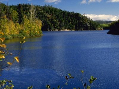 Лот: 3057072. Фото: 1. Продам ДОМ летний(вода,свет) зем... Дома