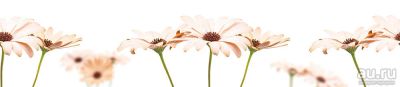 Лот: 13833044. Фото: 1. SP 147 Стеновые дизайн панели... Фартуки для кухни