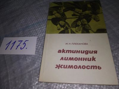 Лот: 19148593. Фото: 1. Плеханова М. Н. Актинидия, лимонник... Популярная и народная медицина