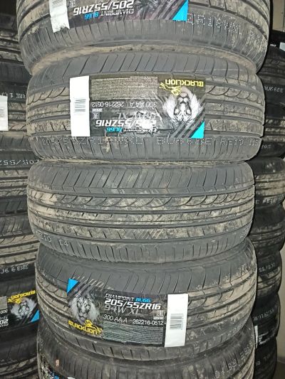 Лот: 16029160. Фото: 1. 205/55R16 94W Blacklion BU66 Champoint. Шины