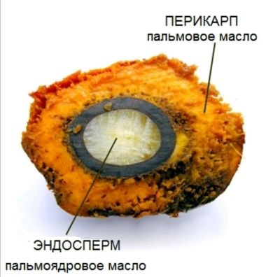 Лот: 11054416. Фото: 1. Масло пальмовое пищевое. Эфирные и косметические масла