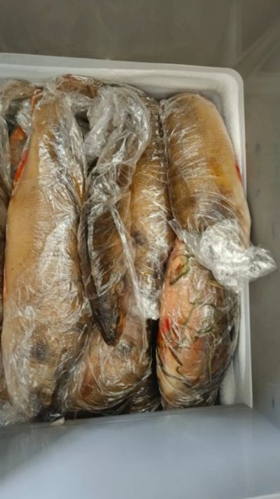 Лот: 22992062. Фото: 1. окунь свежемороженный. Икра, рыба, морепродукты