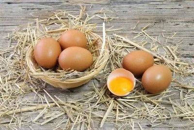 Лот: 16440316. Фото: 1. Домашние яйца! Очень вкусные!. Мясо, птица, яйцо