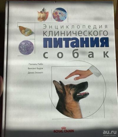 Лот: 16184049. Фото: 1. Энциклопедия клинического питания... Энциклопедии