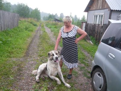 Лот: 3889392. Фото: 1. Продам земельный участок. Земельные участки