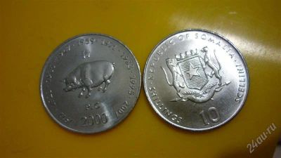 Лот: 1944559. Фото: 1. Добрый крокодил - честное лето... Африка