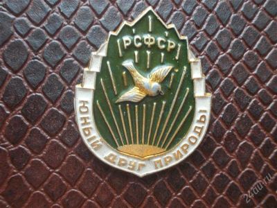 Лот: 2197103. Фото: 1. Значок в вашу коллекцию. Лот... Сувенирные