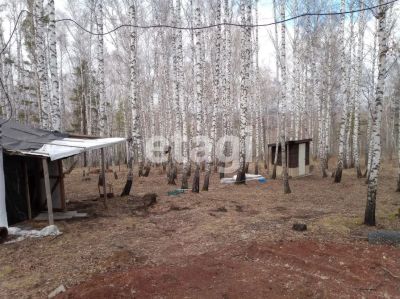 Лот: 25290949. Фото: 1. участок , ДНТ Чёрная Сопка ДНТ... Земельные участки