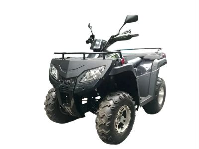 Лот: 25208551. Фото: 1. Квадроцикл RATO RT250ST Premium. Снегоходы, квадроциклы