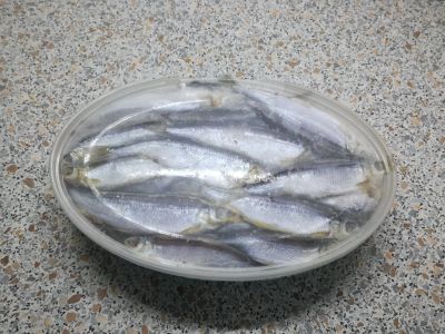 Лот: 17155692. Фото: 1. Рыба тугун ( покупатель уехал... Икра, рыба, морепродукты