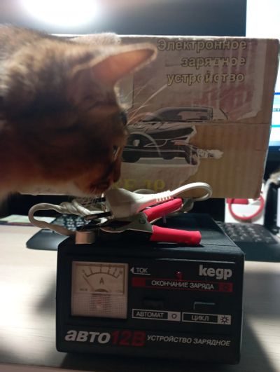 Лот: 25888812. Фото: 1. Зарядное устройство для АКБ. Пуско-зарядные устройства