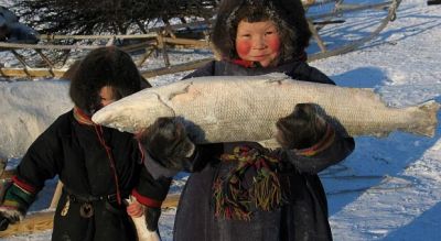Лот: 5491572. Фото: 1. Оптово-розничный магазин северной... Икра, рыба, морепродукты