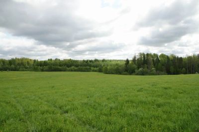 Лот: 4278604. Фото: 1. Участок 13 сот. (ЛПХ). Земельные участки