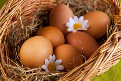 Лот: 9336469. Фото: 1. Яйцо инкубационное от кур хай... Птицы