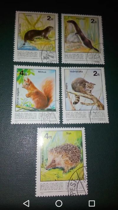 Лот: 19861009. Фото: 1. Венгрия 1986г. Охраняемые животные... Марки