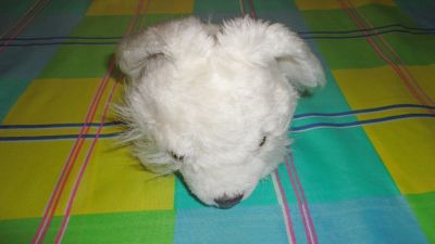Лот: 16553614. Фото: 1. зайка беленький , много лотов... Мягкие