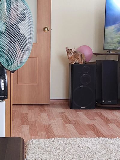 Лот: 15947913. Фото: 1. Pioneer S-X640V. Пассивные акустические системы