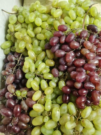 Лот: 19445387. Фото: 1. Лот №8, виноград. Овощи, фрукты, зелень