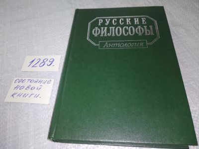 Лот: 19127789. Фото: 1. Русские философы ( конец XIX-середина... Философия