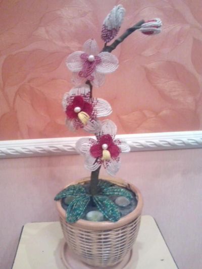 Лот: 5387075. Фото: 1. Орхидея. Бисероплетение