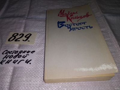 Лот: 13071125. Фото: 1. Восторг и ярость, Михаил Кольцов... Другое (общественные и гуманитарные науки)