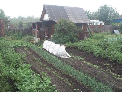 Лот: 931105. Фото: 1. Продам дачу с посадками (Без урожая... Дачи