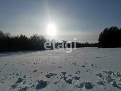 Лот: 25293075. Фото: 1. участок , ДНТ Лужники ДНТ Лужники... Земельные участки