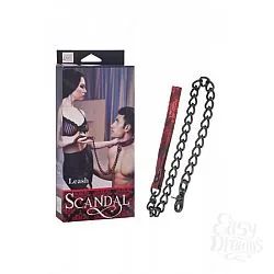 Лот: 19966938. Фото: 1. Поводок с цепью Scandal Leash... Игрушки