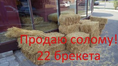 Лот: 8085034. Фото: 1. солома брикеты. Утеплитель и изоляционные материалы