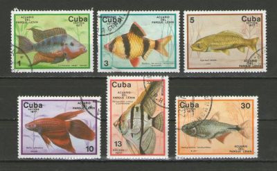 Лот: 9473043. Фото: 1. Почтовые марки Кубы. Рыбы. 1977... Марки