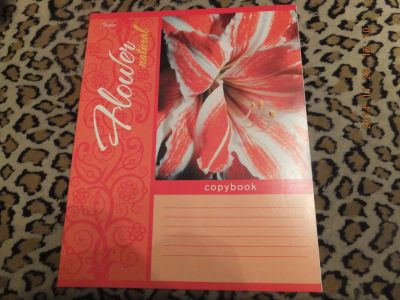 Лот: 4819243. Фото: 1. Тетрадь 24 л. клетка,033. Другое (учёба (школа, вуз))