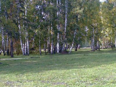 Лот: 4399921. Фото: 1. Участок 10 соток, садовое сообщество... Земельные участки