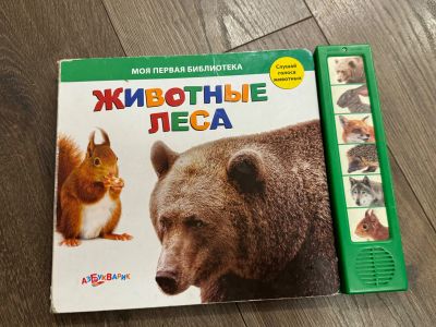 Лот: 24330065. Фото: 1. Книга животные леса. Развивающие