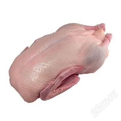 Лот: 2334436. Фото: 1. Продам свежемороженые тушки гусей. Мясо, птица, яйцо