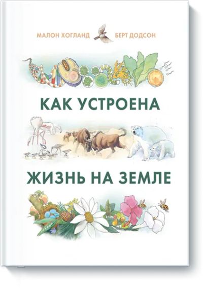 Лот: 24463451. Фото: 1. Как устроена жизнь на Земле. Художественная для детей
