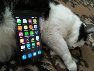 Лот: 11563495. Фото: 1. ZTE Blade A610, кот устал, а у... Смартфоны