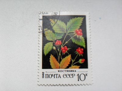 Лот: 12744479. Фото: 1. Марка 10к 1982 год СССР Костяника. Марки