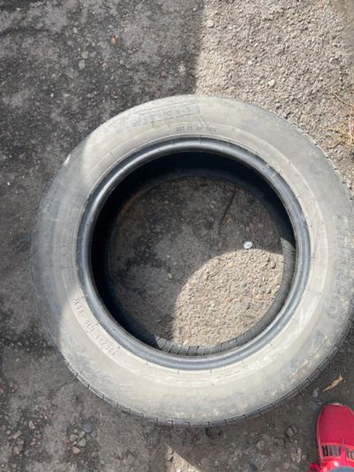 Лот: 18058684. Фото: 1. Шина pirelli Cinturato 225/55... Шины
