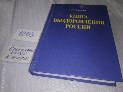 Лот: 18600746. Фото: 1. (3092330)Книга выздоровления России... Социология
