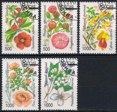 Лот: 18301853. Фото: 1. 1997, 21 января. Декоративные... Марки