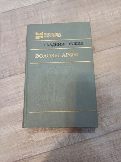 Лот: 19550926. Фото: 1. В. Бушин Эоловы арфы. Художественная