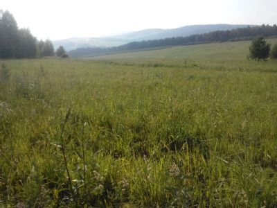 Лот: 8064517. Фото: 1. Продам дачный участок ст.Маганская... Земельные участки