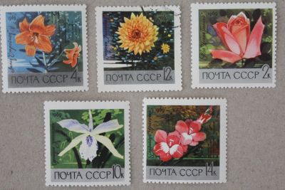Лот: 24900040. Фото: 1. Марки СССР 1969 года. Цветы. Растения... Марки