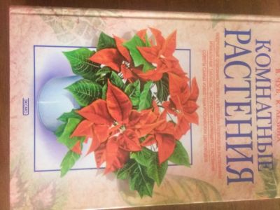 Лот: 17442024. Фото: 1. комнатные растения. Книги