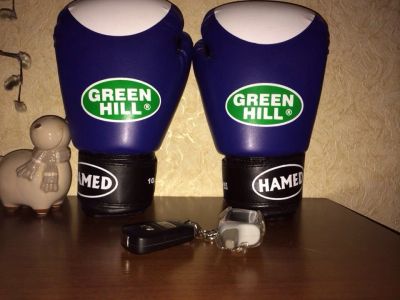Лот: 3806975. Фото: 1. Боксерские перчатки Green Hill... Одежда для боевых искусств