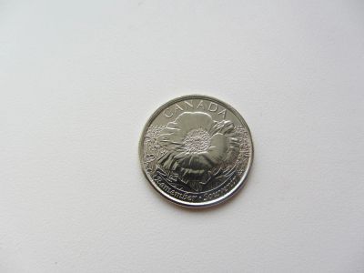 Лот: 6888923. Фото: 1. Канада 25 центов 2015 " 100-летие... Америка