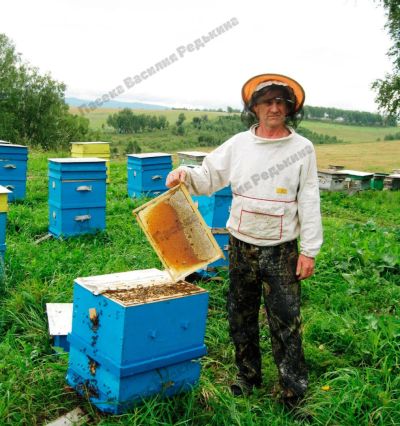 Лот: 8067636. Фото: 1. Мёд натуральный, свежий, урожай... Мёд, продукты пчеловодства