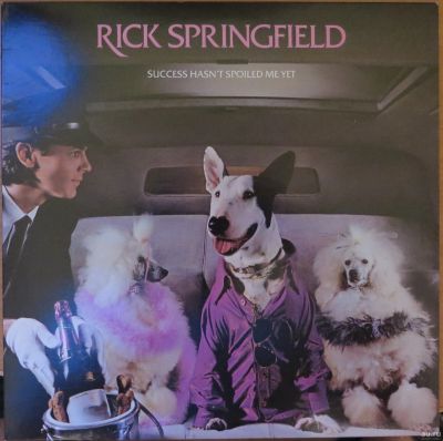 Лот: 14982430. Фото: 1. Rick Springfield ‎– Success Hasn... Аудиозаписи