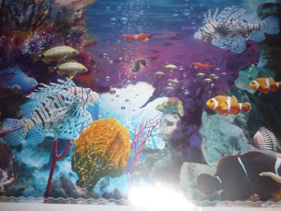 Лот: 3349394. Фото: 1. продам фото обои с рубля(подводный... Обои, панели, ДВП, ДСП, МДФ